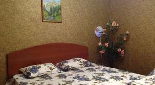 Гостиница Oasis Hotel Омск Двухместный номер с 1 кроватью и собственной ванной комнатой-1